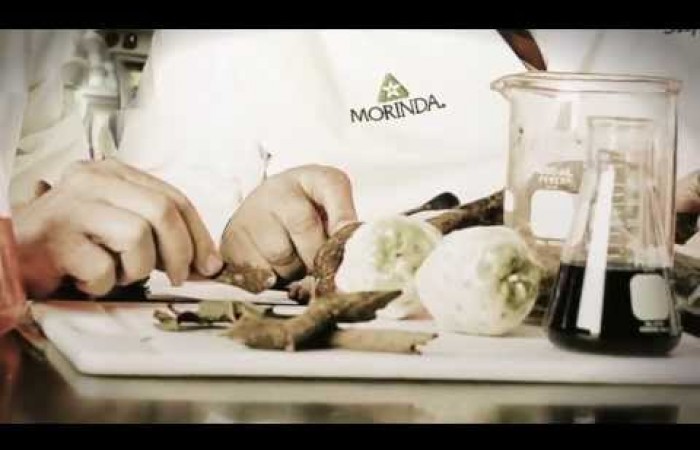 Les produits Tahitian Noni -Morinda (en français)